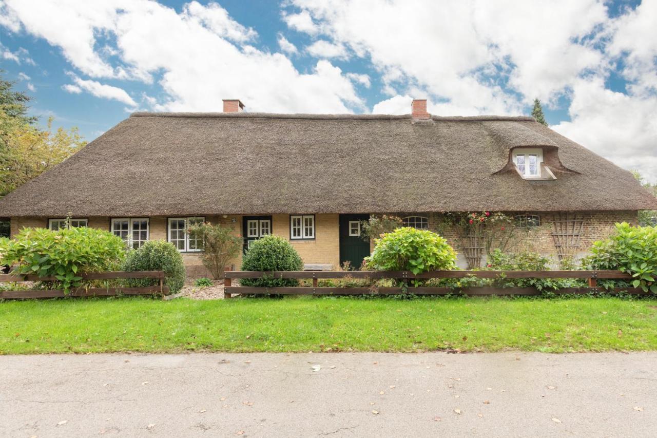 Reetdachhaus Zur Sandkuhle Ostenfeld  Bagian luar foto